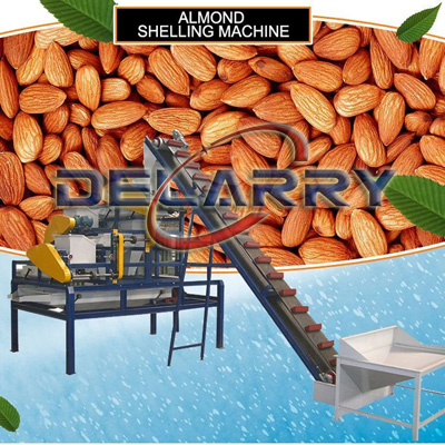 Automatic almond shelling machine (图1)